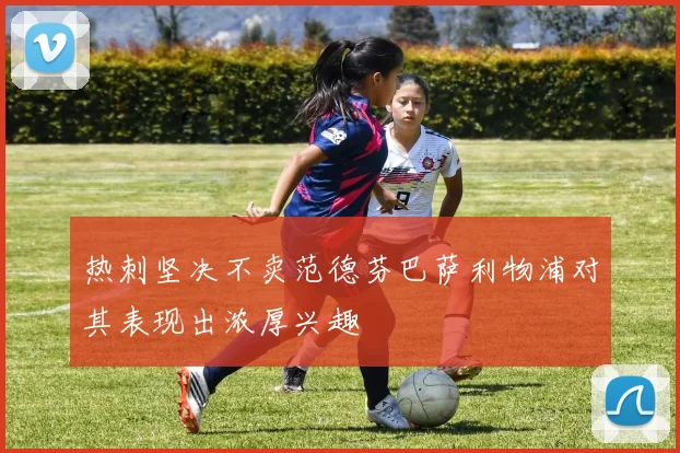 热刺坚决不卖范德芬巴萨利物浦对其表现出浓厚兴趣