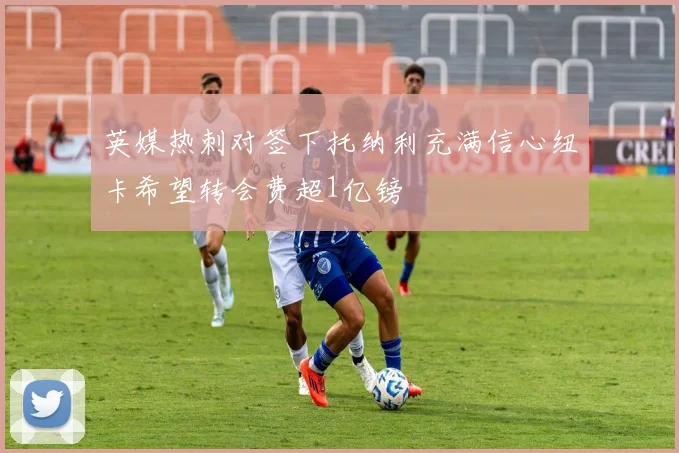 英媒热刺对签下托纳利充满信心纽卡希望转会费超1亿镑